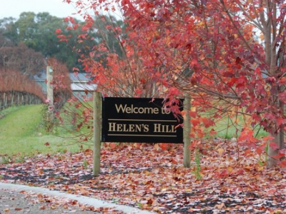 Helens Hill Estate